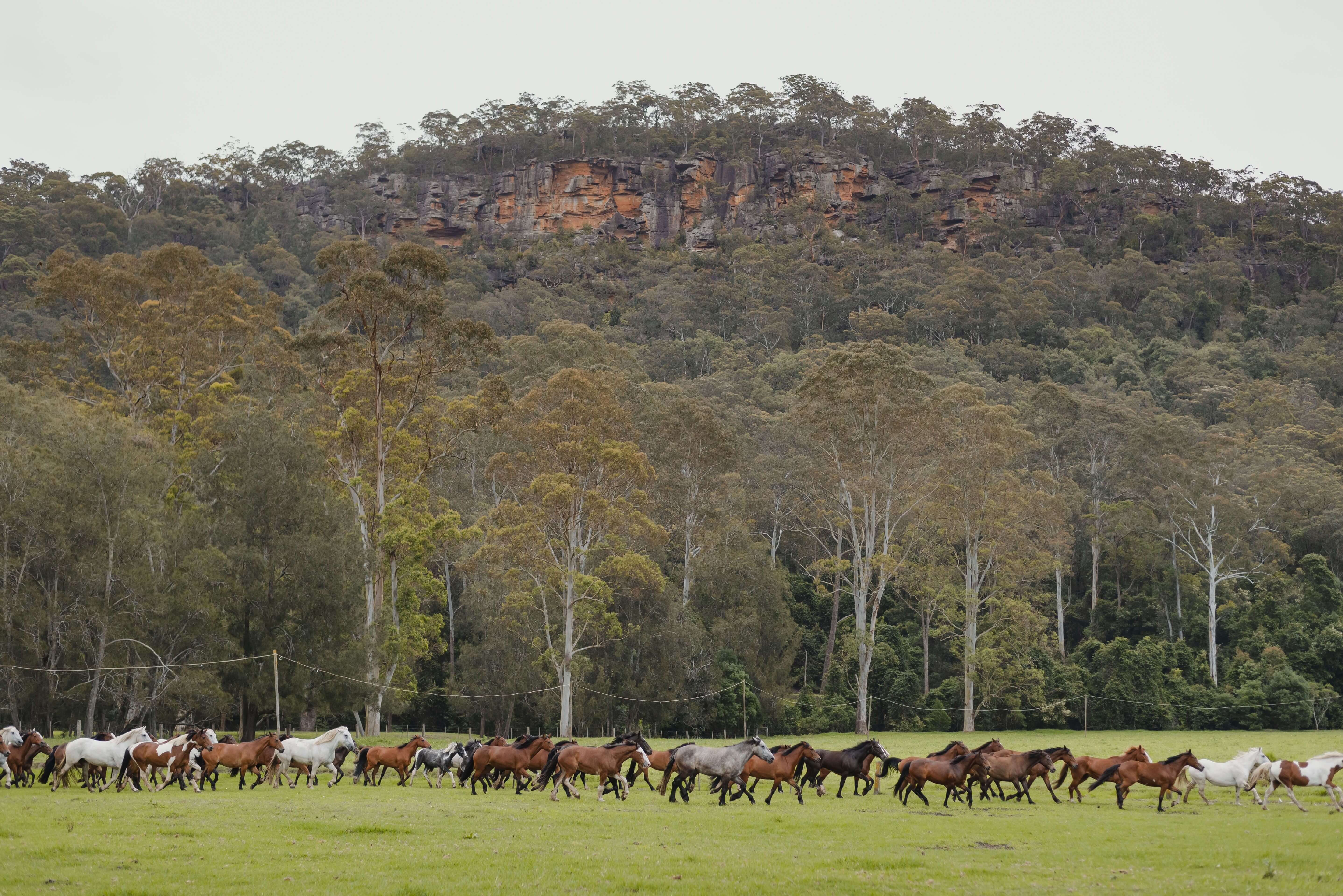 The NSW Central Coast is now a certified Australian ECO Destination